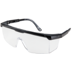 Safety Glasses 2001