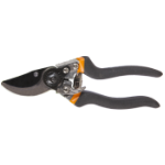Pruning Shears with Angled Blades